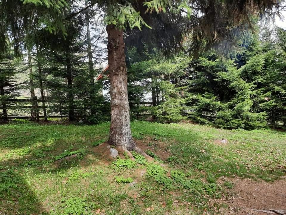 Piricske Pihenőház Ciceu Exterior foto